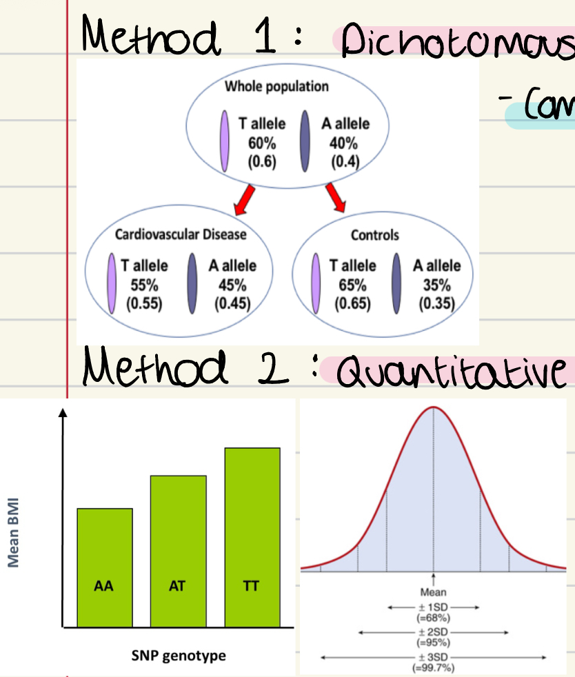 <ol><li><p>Dichotomous traits</p></li></ol><ul><li><p>compare frequency of alleles in cases vs controls</p></li></ul><ol start="2"><li><p>Quantitative traits</p></li></ol><ul><li><p>compare the mean trait value for each genotype</p></li></ul><p></p>