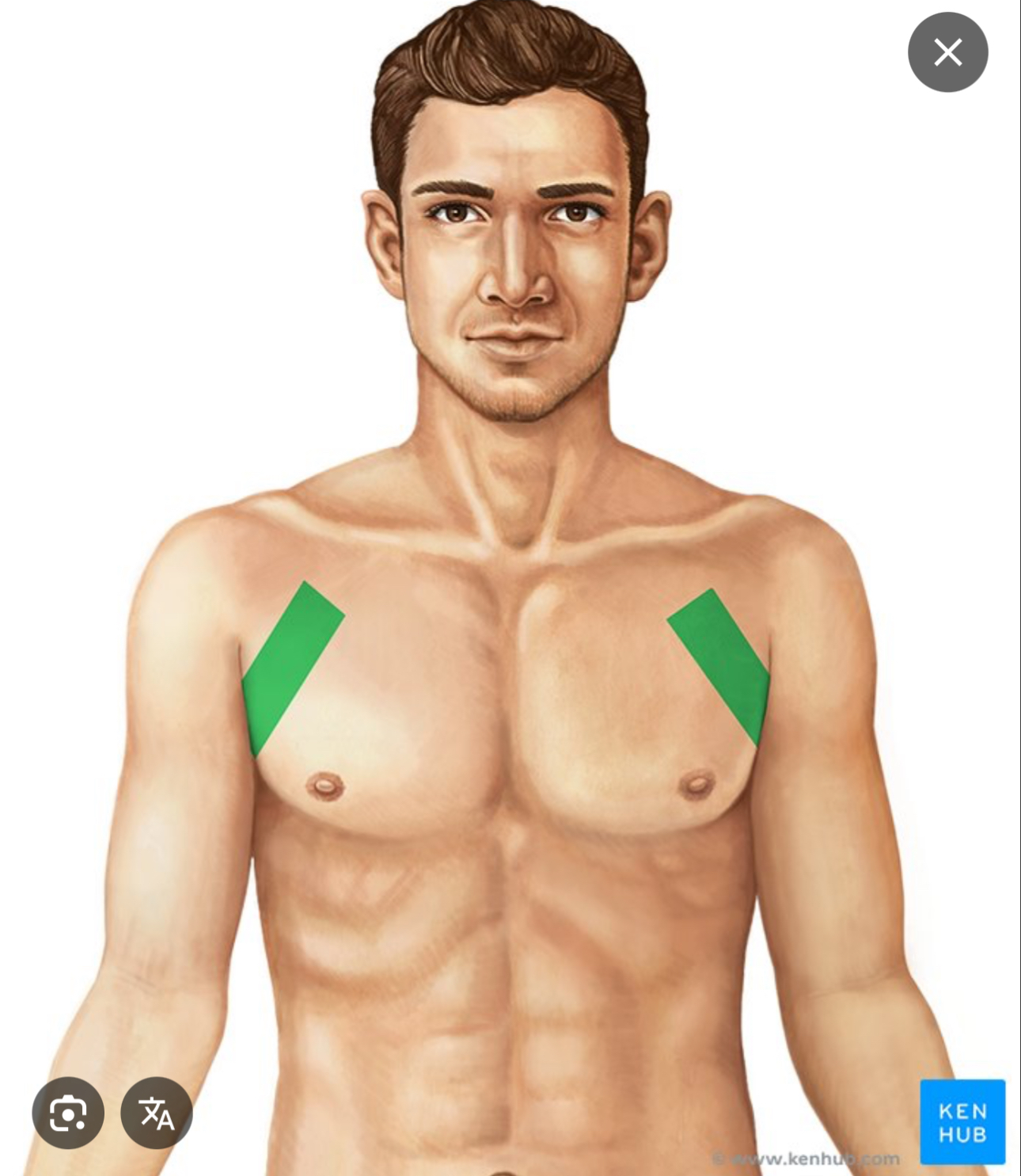 <p>area under the armpit</p>
