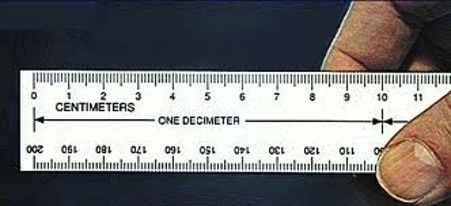 <p>tenth, .1, d</p>