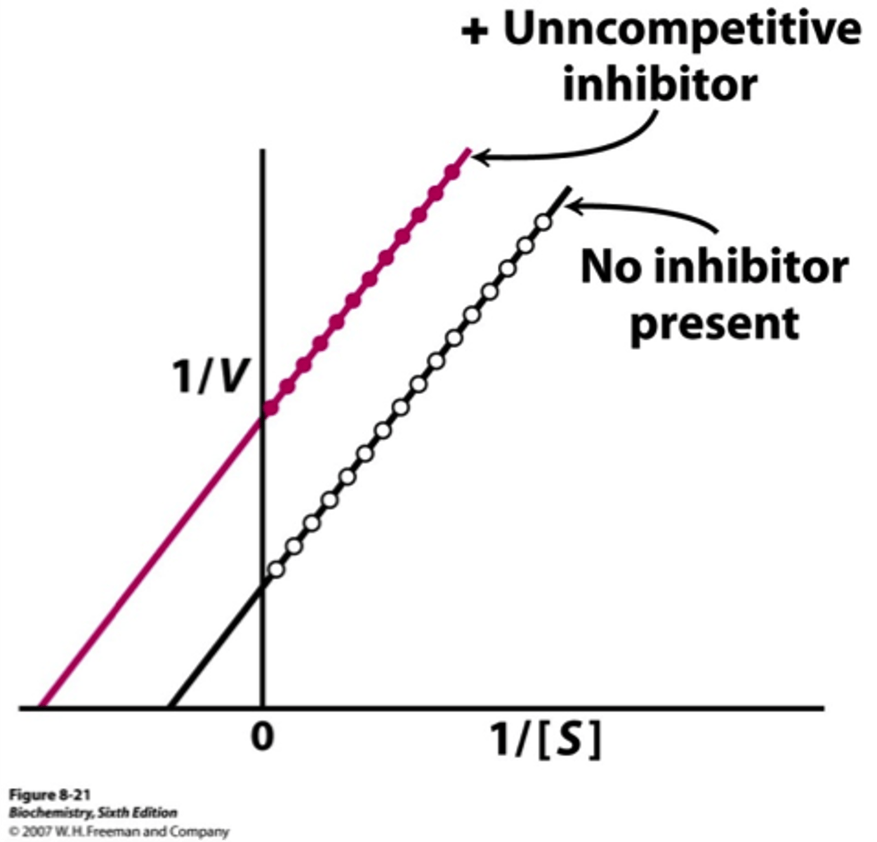 <p>Does not change slope.</p><p>Changes Km and Vmax.</p><p>Results in vertical shift up and down.</p>