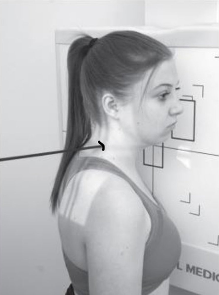 <p>What type of view is this?</p>