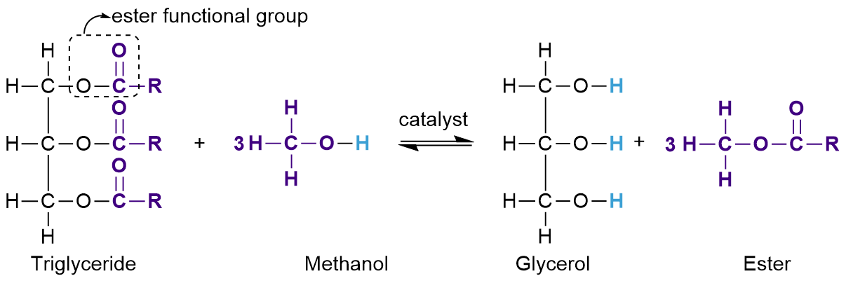 <ul><li><p>Alternative, renewable fuel made from oil obtained from crops such as rapeseed oil</p></li><li><p>Can be converted into biodiesel by transesterification by using methanol </p></li></ul><p></p>