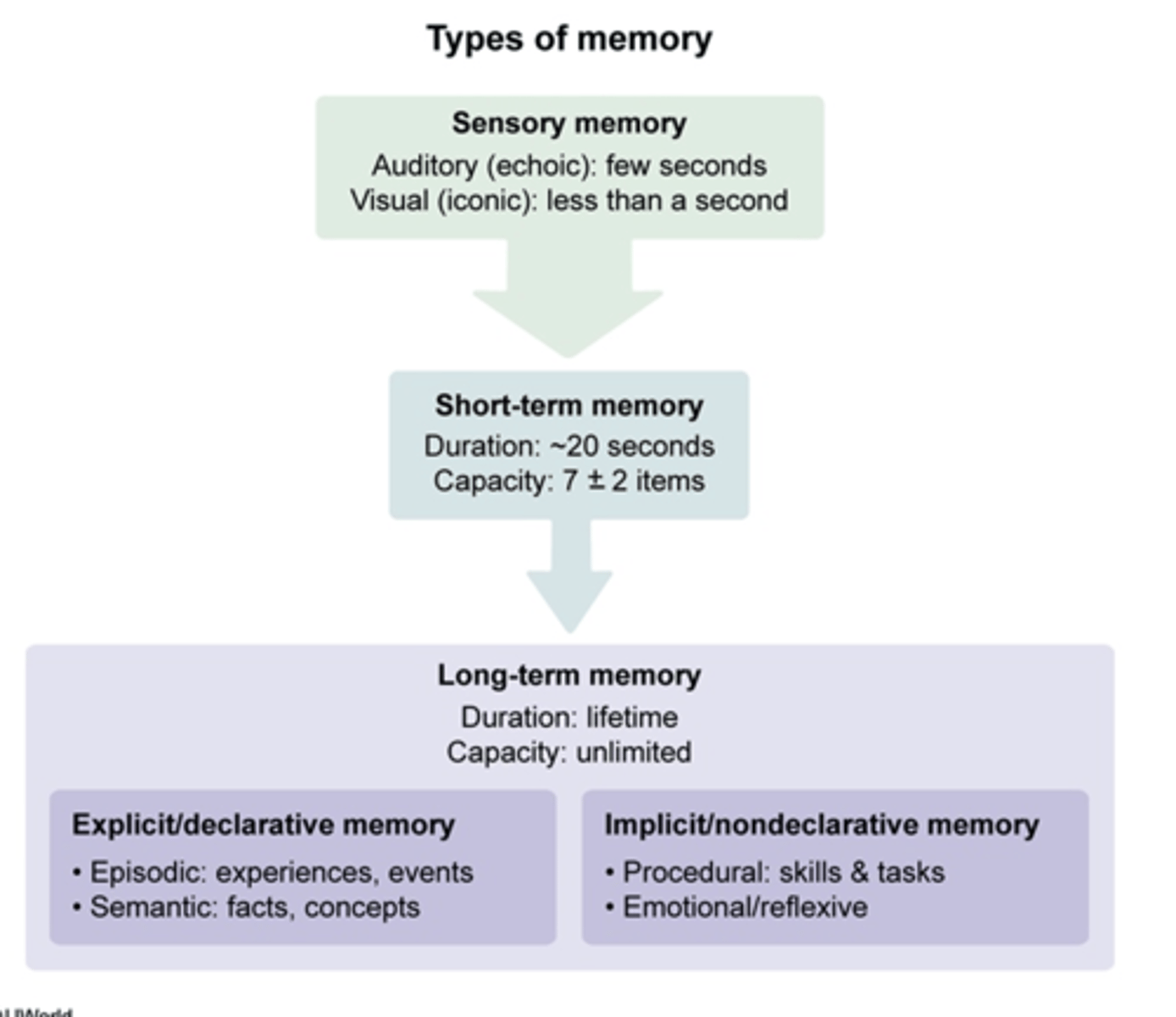 <p>D. Emotional/Reflective (which is a type of nondeclarative/implicit memory)<br><br>implicit memories are for things that cannot be consciously recalled, sch as skills, tasks, emotions, and reflexes</p>