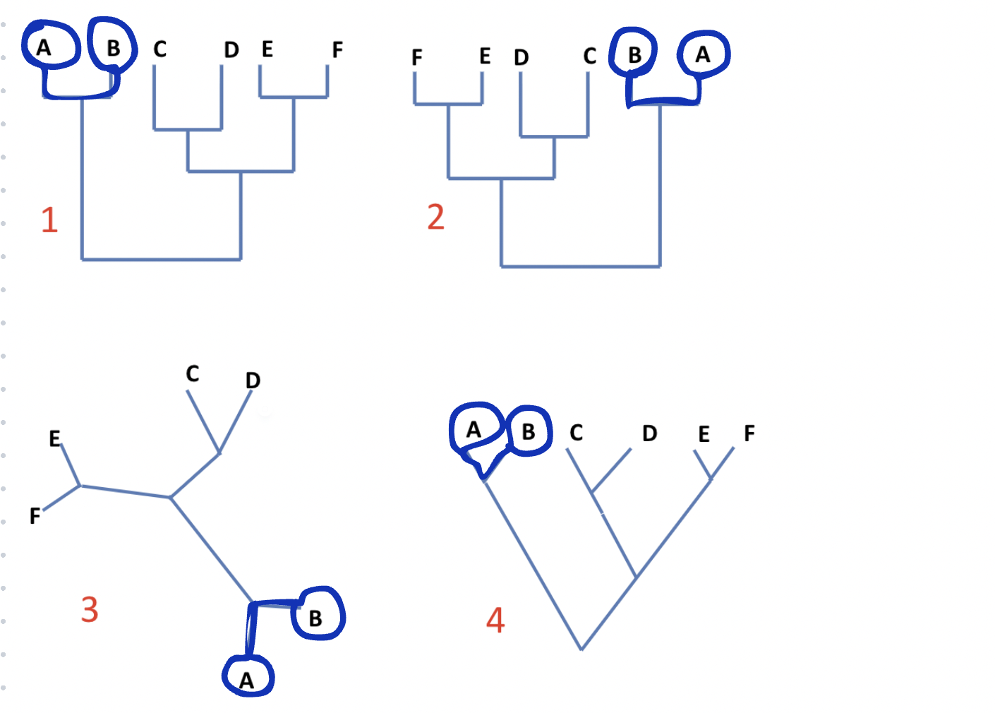 <p>True: Look at the species and then trace the nearest related species and see if it matches across all trees</p>