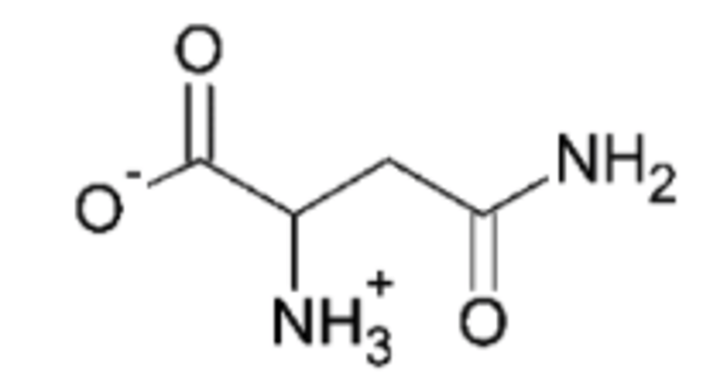 <p>What is this amino acid? Name the full amino acid, the three word abbreviation, and one letter abbreviation. If this amino acid has a side chain with a pKa value, include this value.</p>