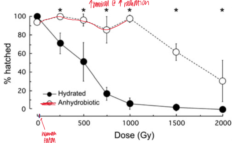 <p>yes, still high survival rates at high radiation </p><ul><li><p>anhydrobiotic levels were significantly higher than the hydrated ones (indicates resistance) </p></li></ul><p></p>
