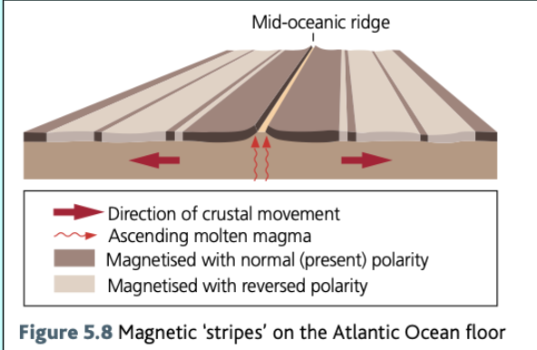 <ul><li><p><span style="background-color: transparent;"><span>The mid-Atlantic ridge was discovered and studied along with a similar feature in the Pacific Ocean. Examination of the ocean crust either side of the mid-Atlantic ridge suggested that </span><strong><span>sea-floor spreading </span></strong><span>was occurring.</span></span></p></li><li><p><span style="background-color: transparent;"><span>Evidence for this is alternating polarity of the rocks that form the oceanic crust.&nbsp;</span></span></p></li><li><p><span style="background-color: transparent;"><span>Iron particles in lava erupted on the ocean floor are aligned with the Earth’s magnetic field.&nbsp;</span></span></p></li><li><p><span style="background-color: transparent;"><strong><span>Palaeomagnetism</span></strong><span> is when lava solidifies the iron particles provide a record of the Earths polarity at the time of the eruption. [The Earth’s polarity reverses at regular intervals about every 400,000 years]</span></span></p></li><li><p><span style="background-color: transparent;"><span>As a result there are </span><strong><span>magnetic stripes </span></strong><span>with rocks aligned alternately towards the north and south poles.&nbsp;</span></span></p></li><li><p><span style="background-color: transparent;"><span>The striped pattern is mirrored exactly on either side of the mid-ocean ridge which suggests that oceanic crust is slowly spreading away from the boundary.&nbsp;</span></span></p></li><li><p><span style="background-color: transparent;"><span>Plus the oceanic crust gets older with distance from the mid-oceanic ridge. &nbsp;</span></span></p></li><li><p><span style="background-color: transparent;"><span>Sea-floor spreading implies that the earth must be getting bigger. As this is not the case, then plates must be being destroyed somewhere to accommodate the increase in their size at mid-oceanic ridges.&nbsp;</span></span></p></li></ul><p></p>