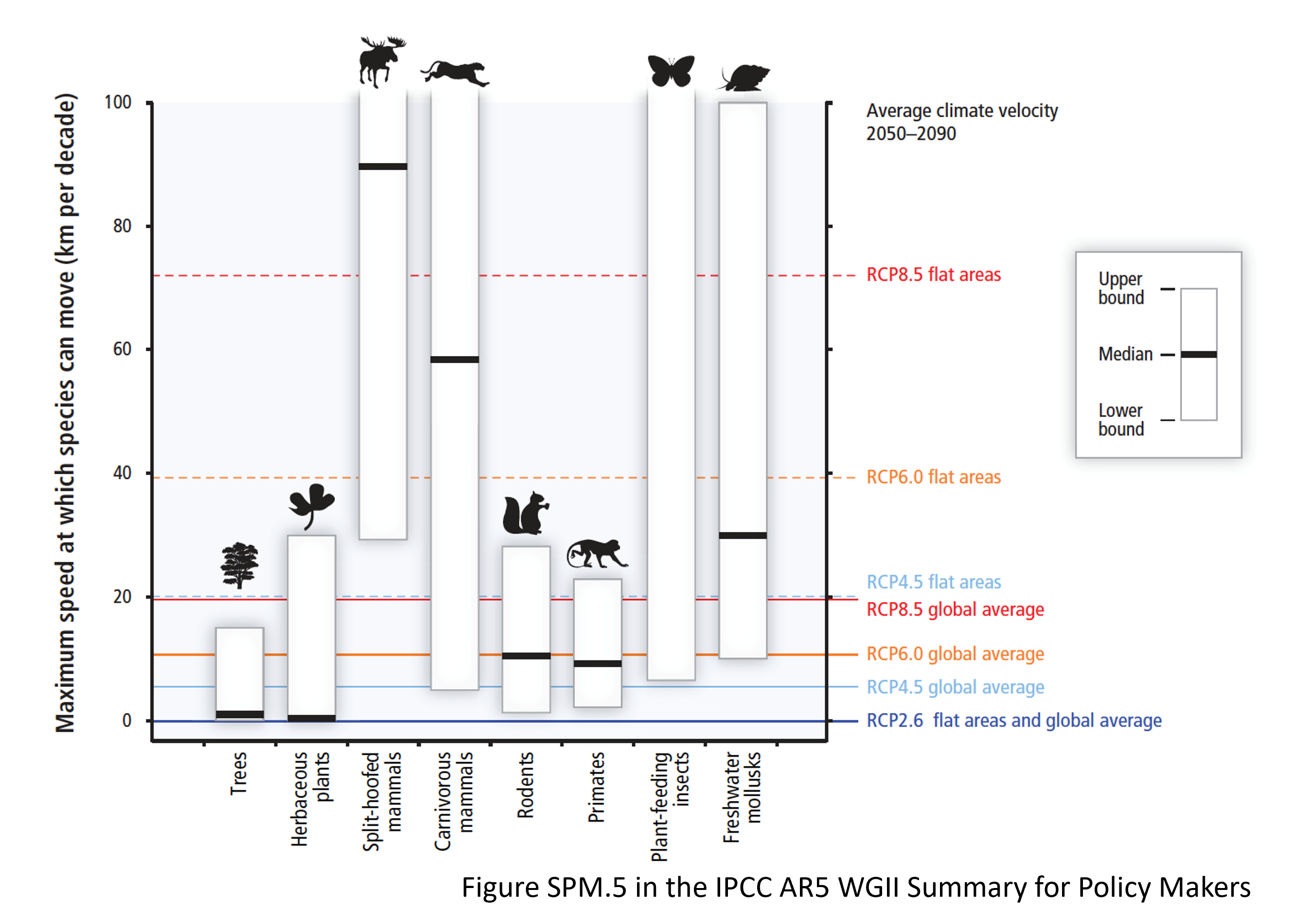 <ul><li><p>Plant and animal species show different capabilities to move in response to changing climate. Vulnerabilities (not achieving required relocation) increase with higher RF projections</p><ul><li><p>Terrestrial species (ex. trees have lower capability than pumas, ones below target line will not survive)</p></li></ul></li><li><p>Many marine species have already shifted their geographic ranges, seasonal activities, migration patterns, abundances, and species interactions in response to ongoing climate change</p></li></ul>