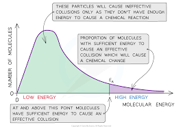 <p>graph showing number of molecules with particular kinetic energy…shows that only few molecules have more energy than activation energy </p>