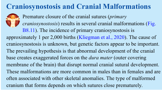 <p>Craniosynostosis and Cranial Malformations</p>