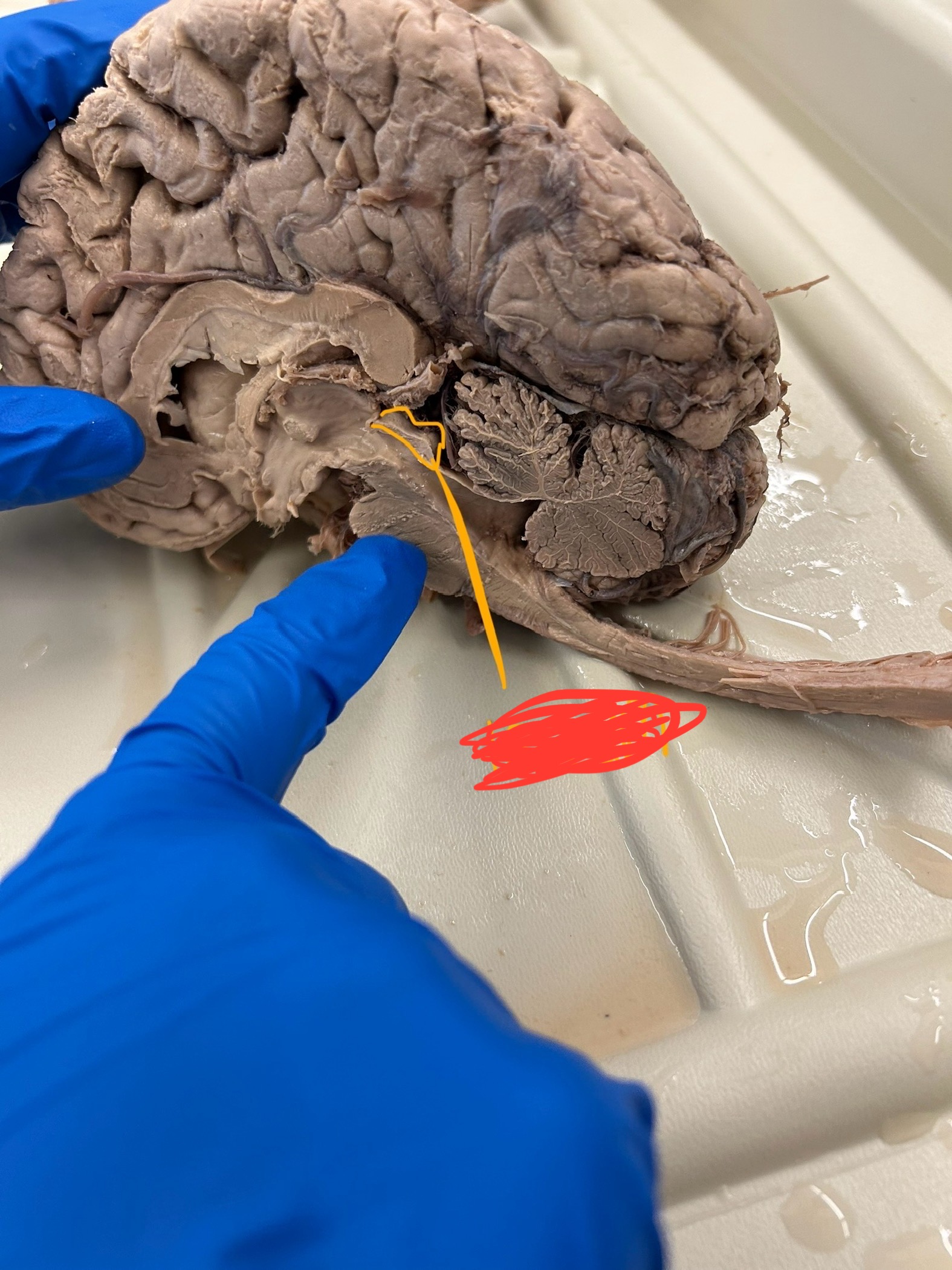 <p>What is this showing?</p>