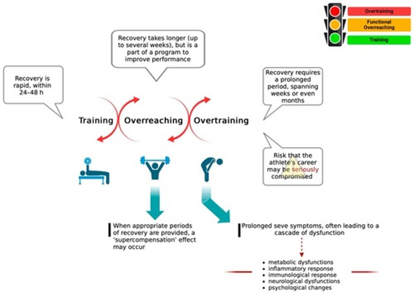<p>A severe form of training stress resulting in chronic fatigue and decreased performance.</p>