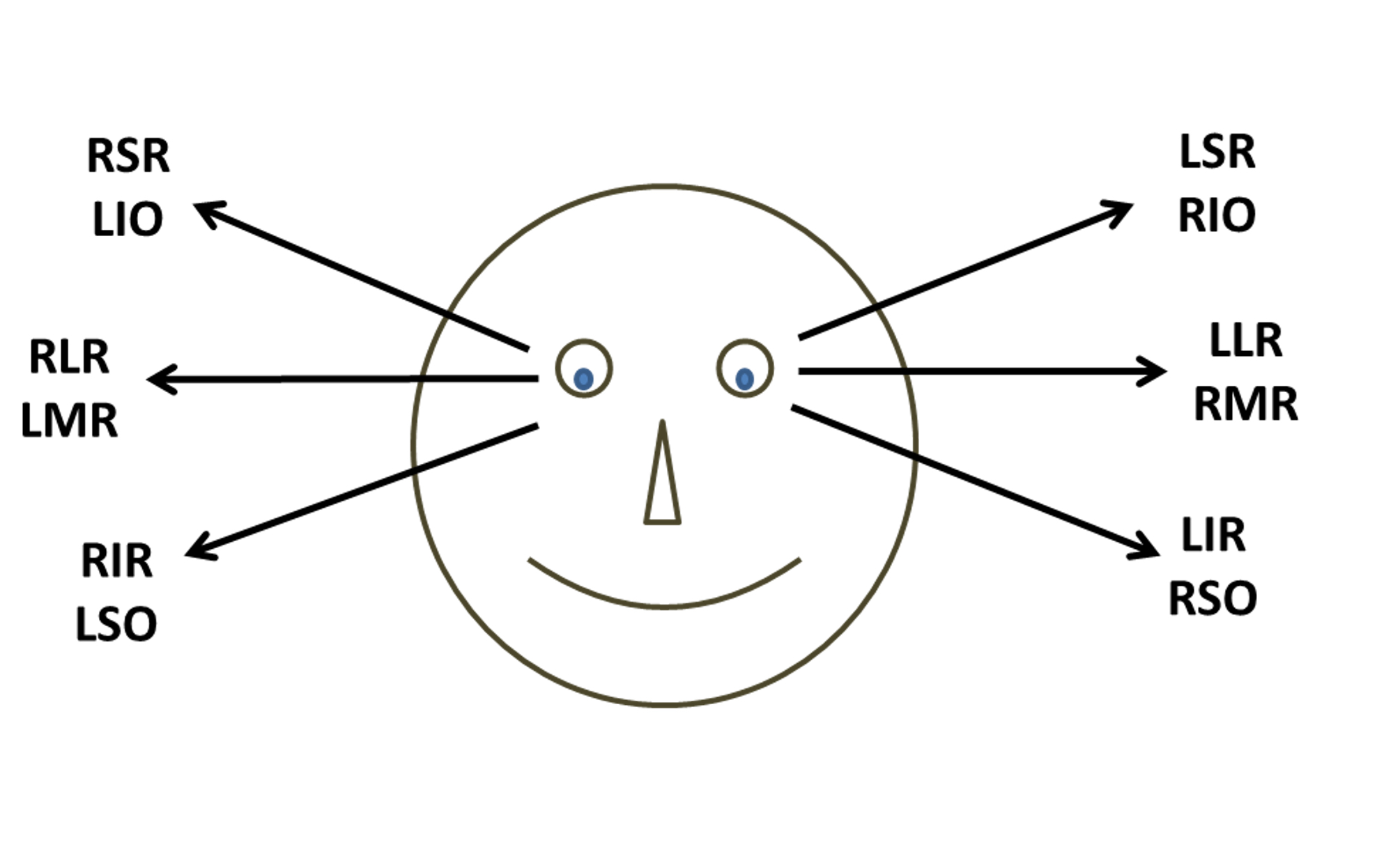 <p>We’d observe right medial rectus and left lateral rectus (RMR - LLR) </p>