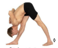 <p>What Pose Is This?</p>