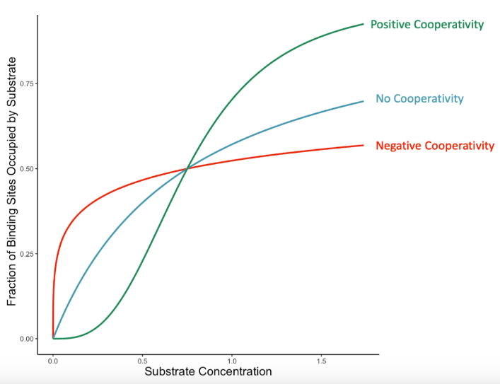 <p><u>Enzyme Kinetics: <1 vs. =1 vs. >1</u></p><p>Hill’s coefficient when the enzyme does NOT exhibit cooperative binding</p>