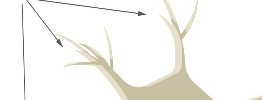 <p>short, branched part called _____ that carries messages towards cyton</p>