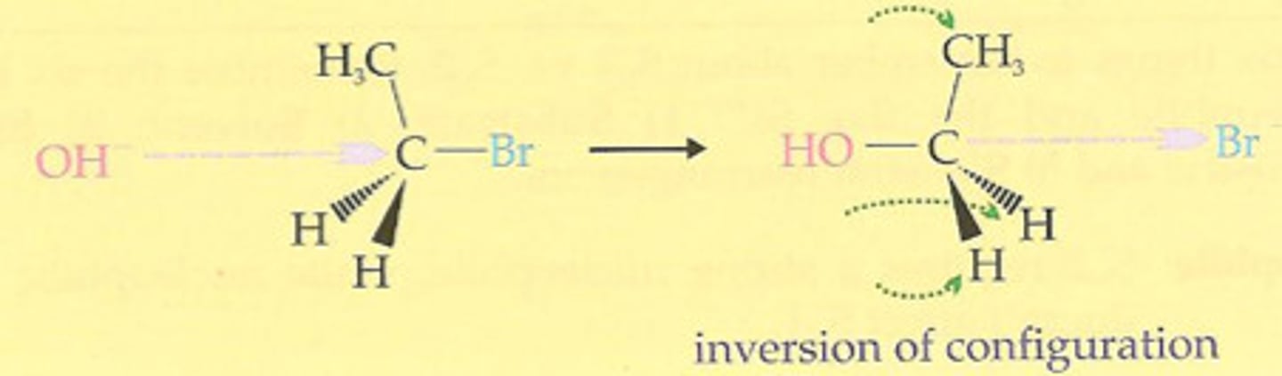 <p>S</p>