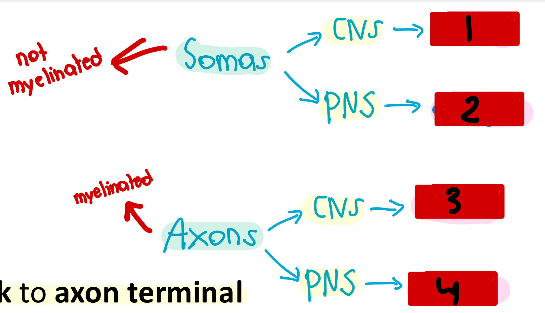 <p>2</p>
