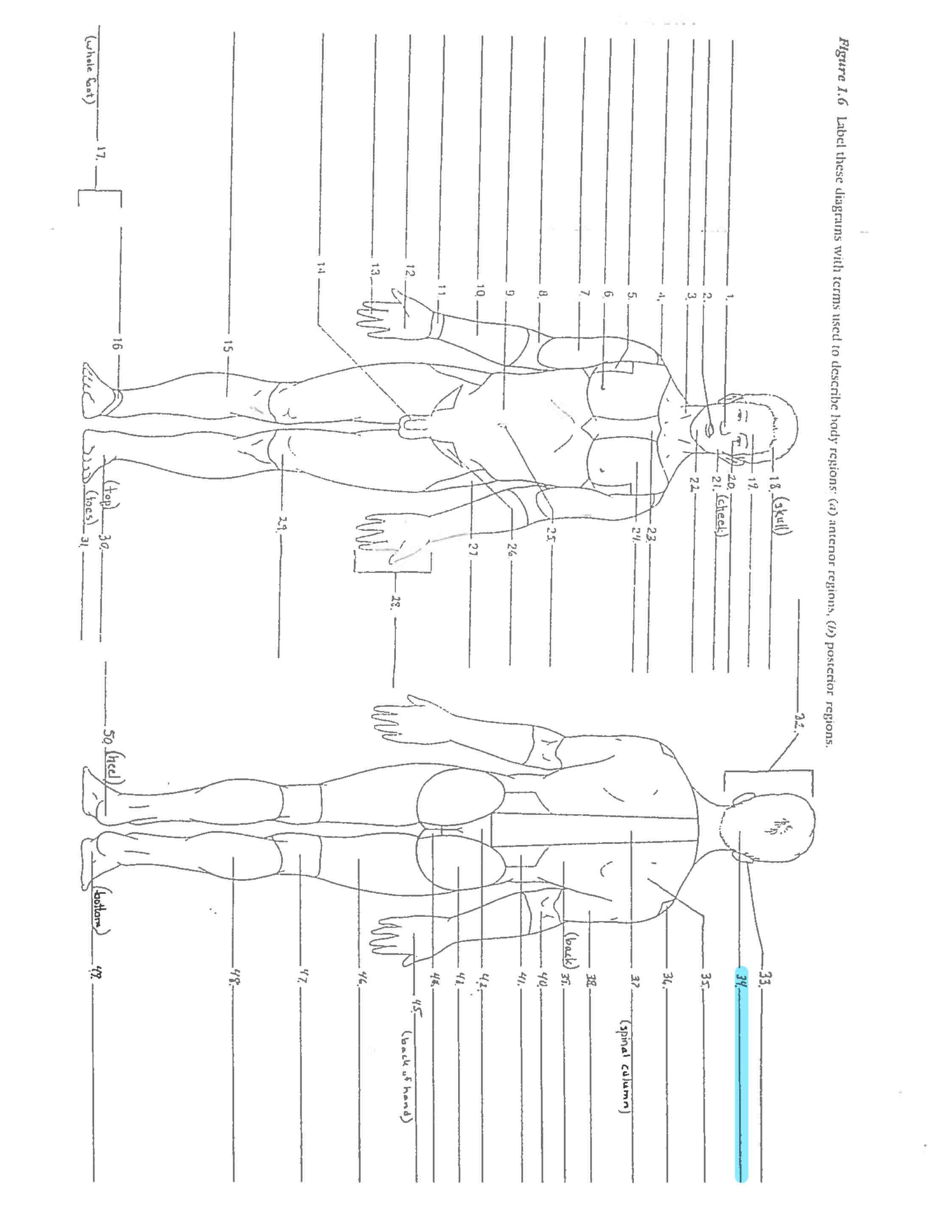 <p>Line 34 </p>