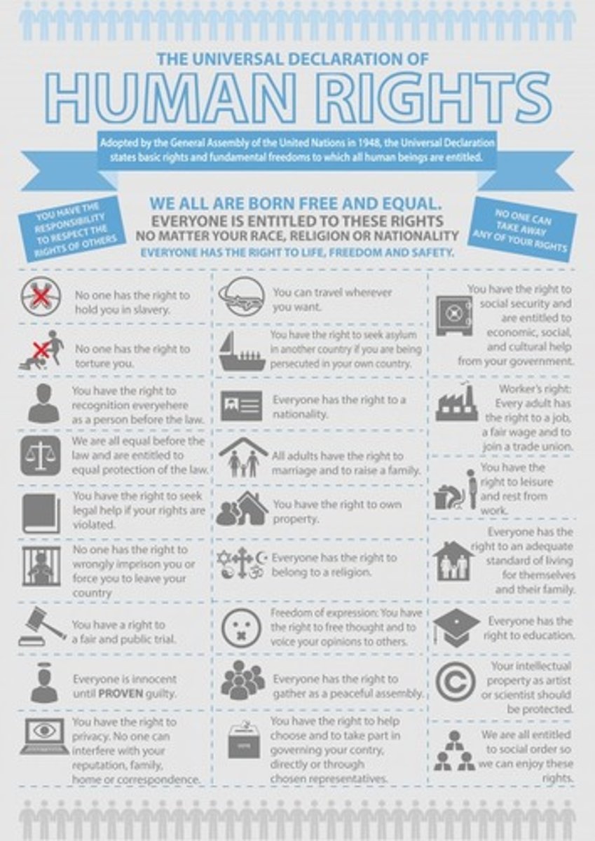 <p>the basic rights to which all people are entitled as human beings </p><p>Exs: Life and liberty, freedom from slavery and torture, freedom of opinion and expression, the right to work and education, and many more</p>