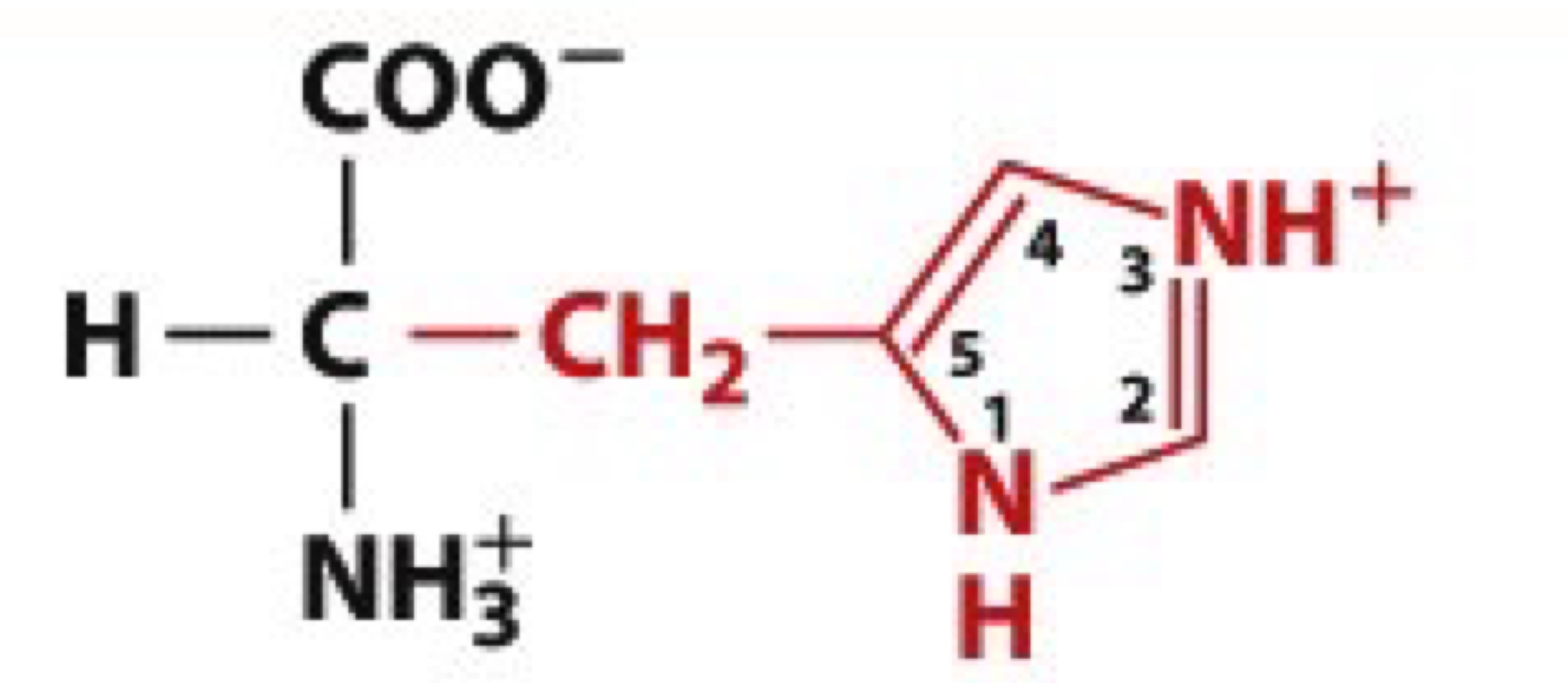 <ul><li><p>His, H</p></li><li><p>charged polar</p></li></ul><p></p>