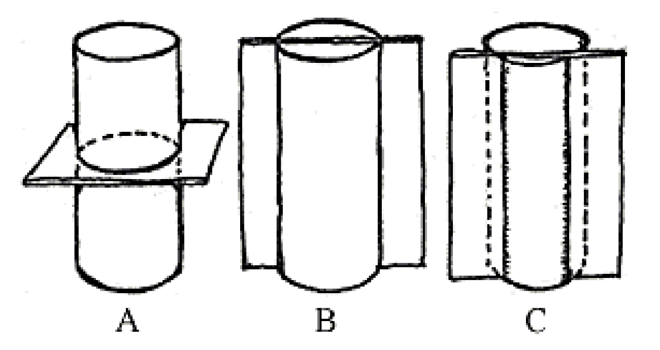 <p>C</p>