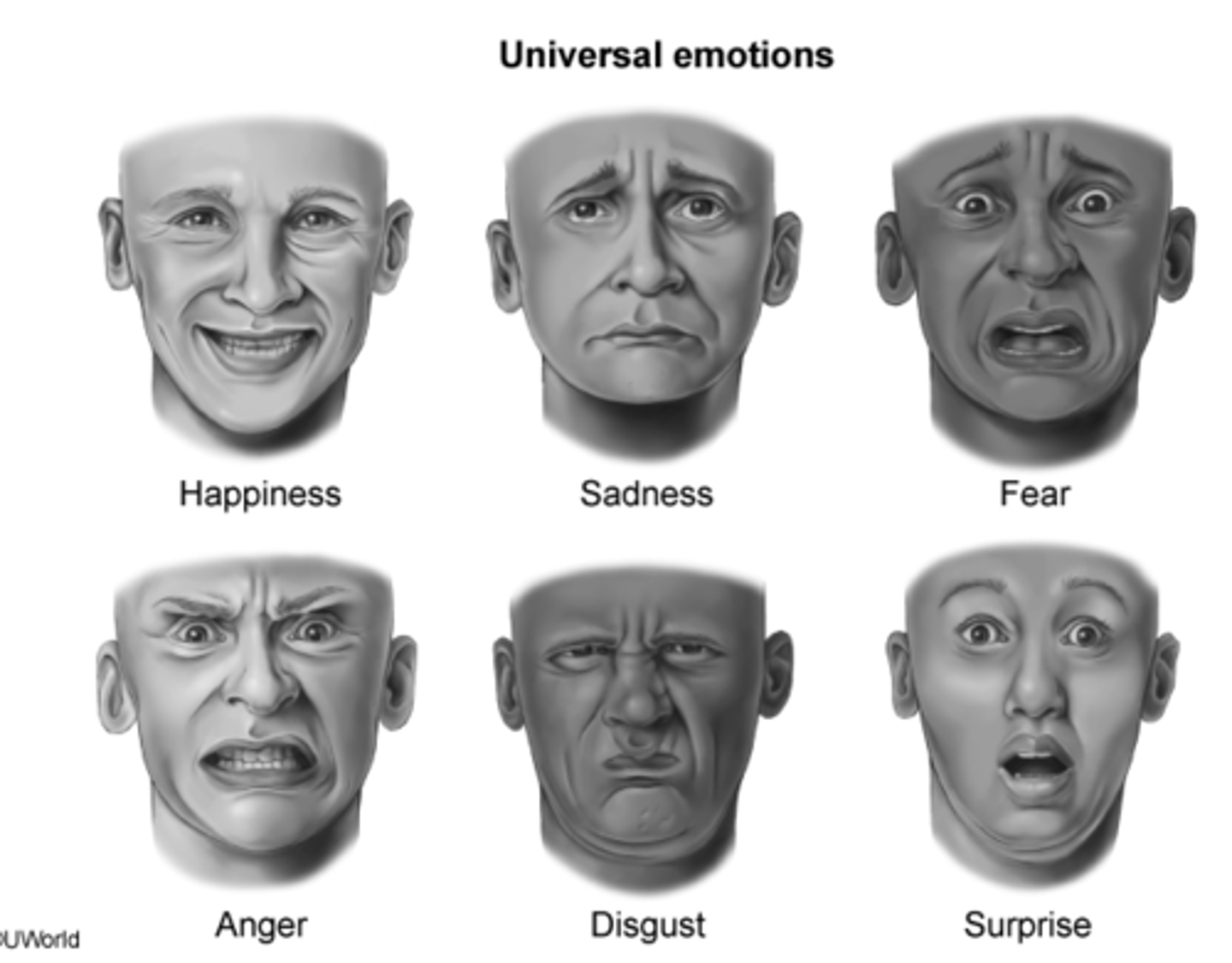 <p>sadness<br>anger<br>happiness<br>fear<br>surprise<br>disgust</p>