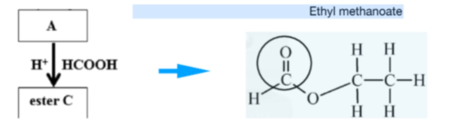 <p>Ethyl methanoate</p>