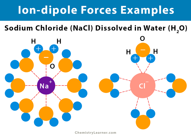 <p>It is the attraction between an ion and a polar molecule. Stronger than dipole-dipole interaction</p>