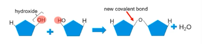 <p>This an example of…</p>