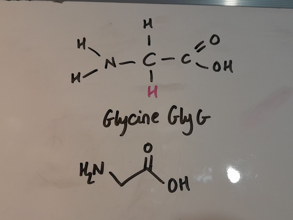 <ul><li><p>Gly&nbsp;</p></li><li><p>G</p></li><li><p>hydrophobic nonpolar</p></li><li><p>aliphatic</p></li></ul><p></p>