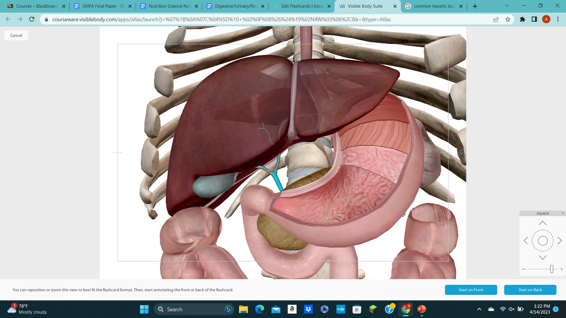 knowt flashcard image