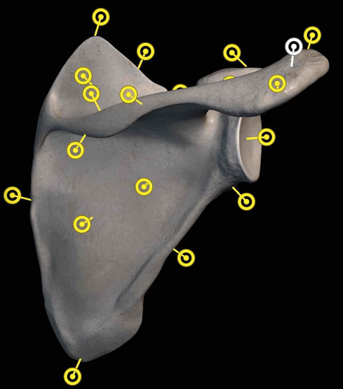 <p>Name the structure </p>