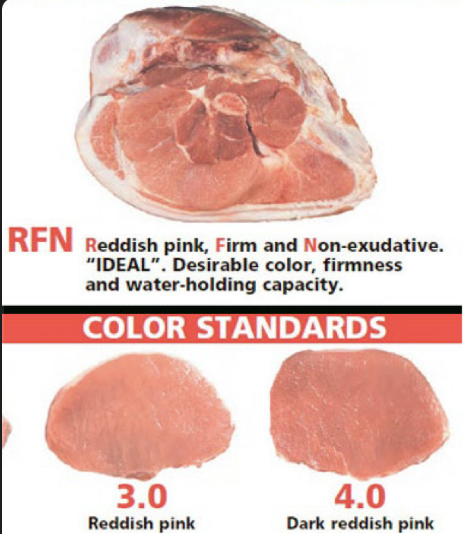 <ul><li><p>Red (reddish pink) color</p></li><li><p>Firm texture</p></li><li><p>Normal water loss</p></li></ul><p></p>
