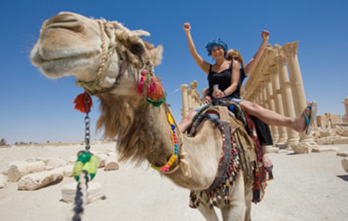<p>ride a camel</p>