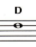 <p>D</p>