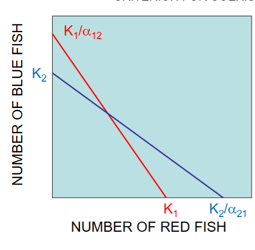 <p>Coexistence of competitors requires that:</p><p>K/alpha &gt; K</p><p><strong>so that alpha&lt; 1.0</strong></p><p>Another way of stating this is that, for similar species (K’s are similar), coexistence requires that <u>intraspecific competition (alpha11 and alpha22 = 1) be greater than interspecific competition</u></p><p>(alpha12 and alpha21 &lt; 1.0)</p>