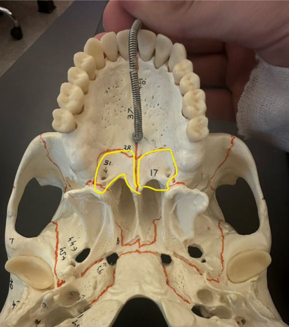 <p>What is circled in yellow? Or labeled as 17?</p>