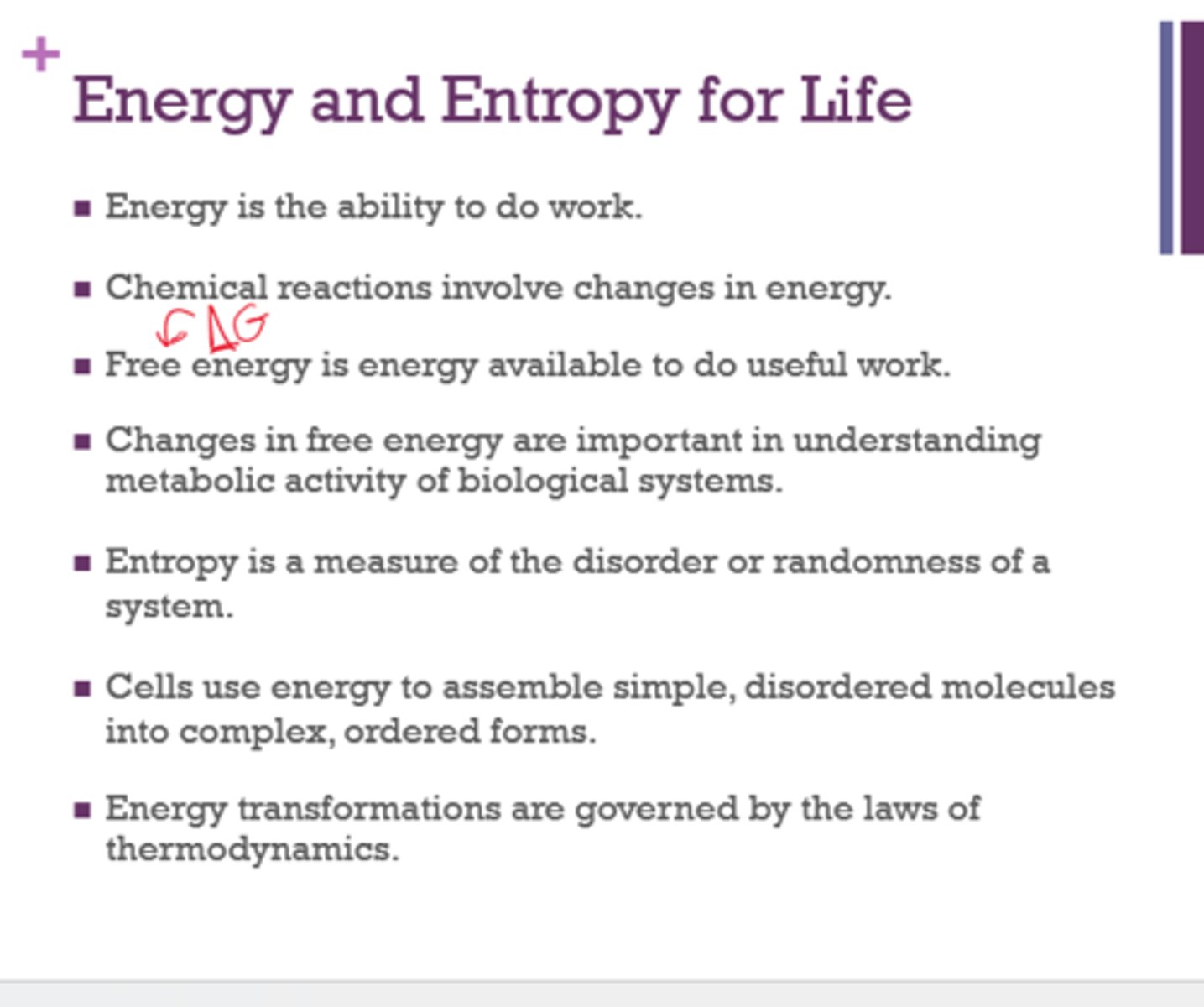 <p>energy available to do useful work (aka can it be used to make ATP)</p>