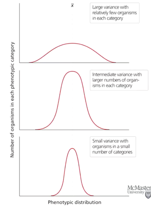 <p>The spread of a distribution around the mean.</p><ul><li><p>High variance = wide distribution</p></li><li><p>Small variance = narrow distribution</p></li></ul><p></p>