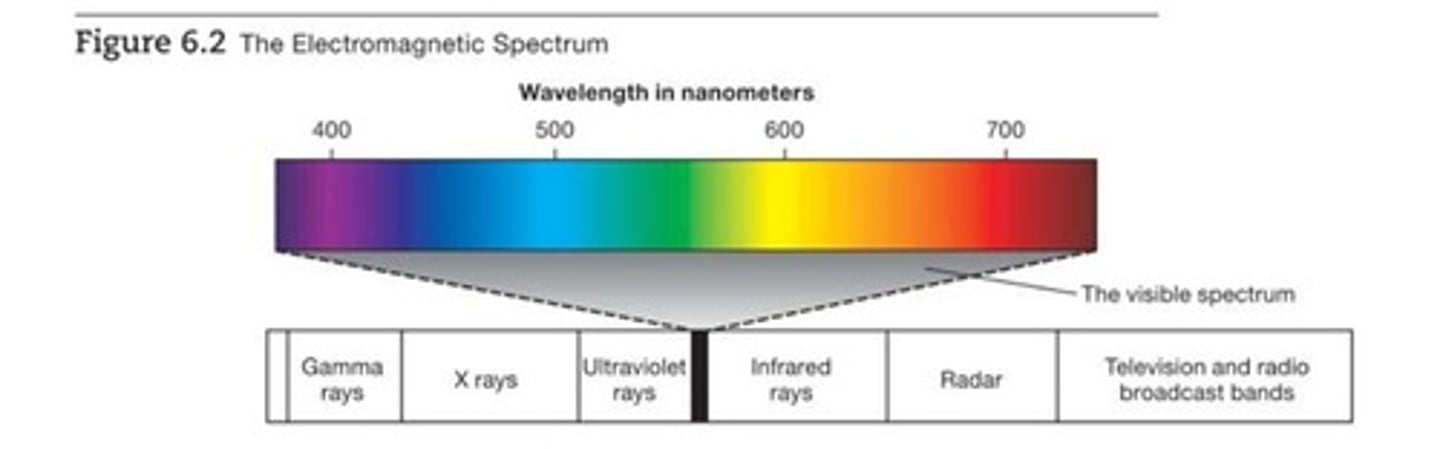 <p>Color determined by wavelength.</p>
