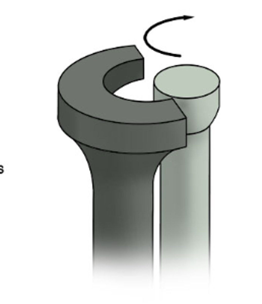 <p>rotating bone turns around an axis</p>