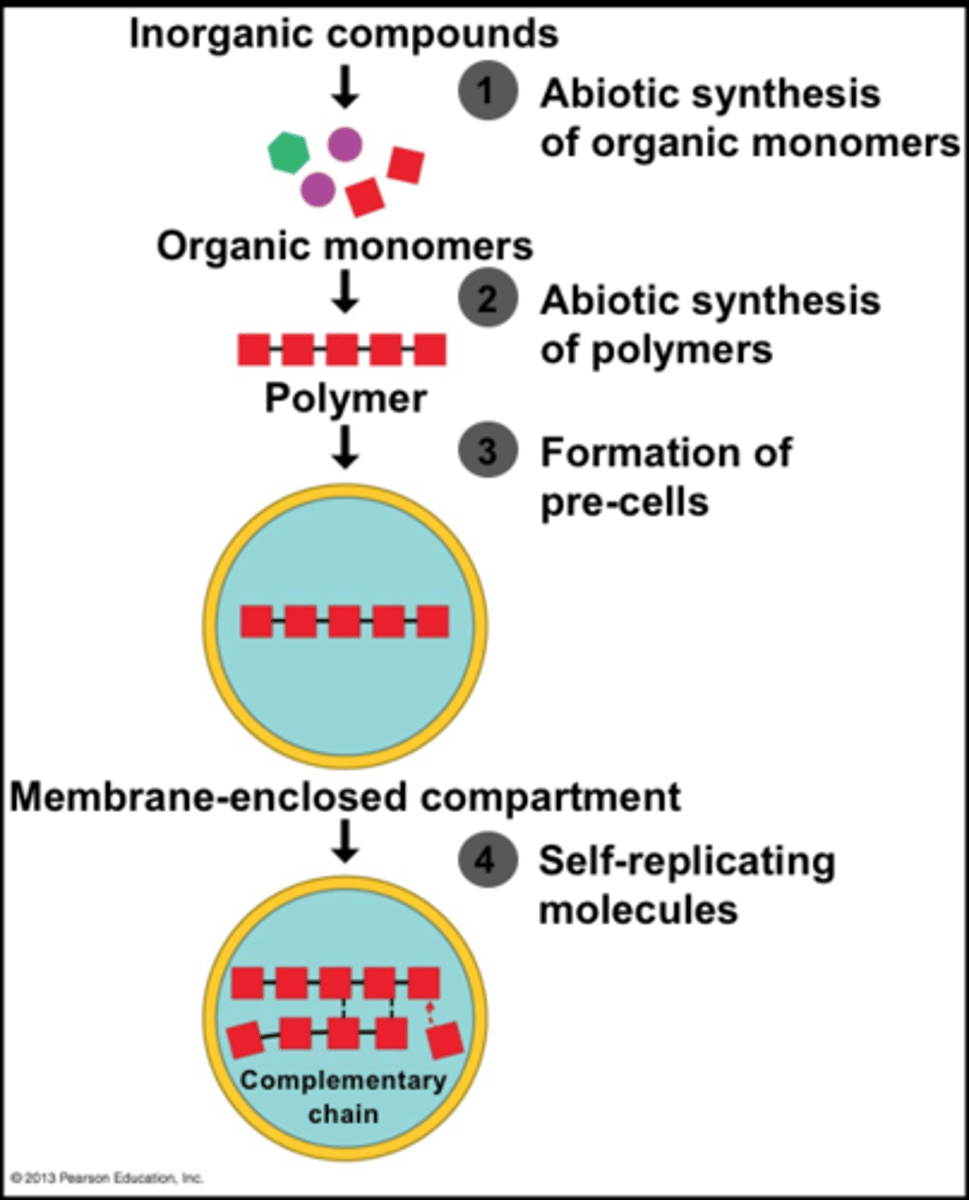 <p>· Biological evolution refers to the evolution of life that is already present, not the beginning/first emergence of life as a whole</p><p>- The origin of life occurs before the existence of life & instead refers to simple organic compounds</p>