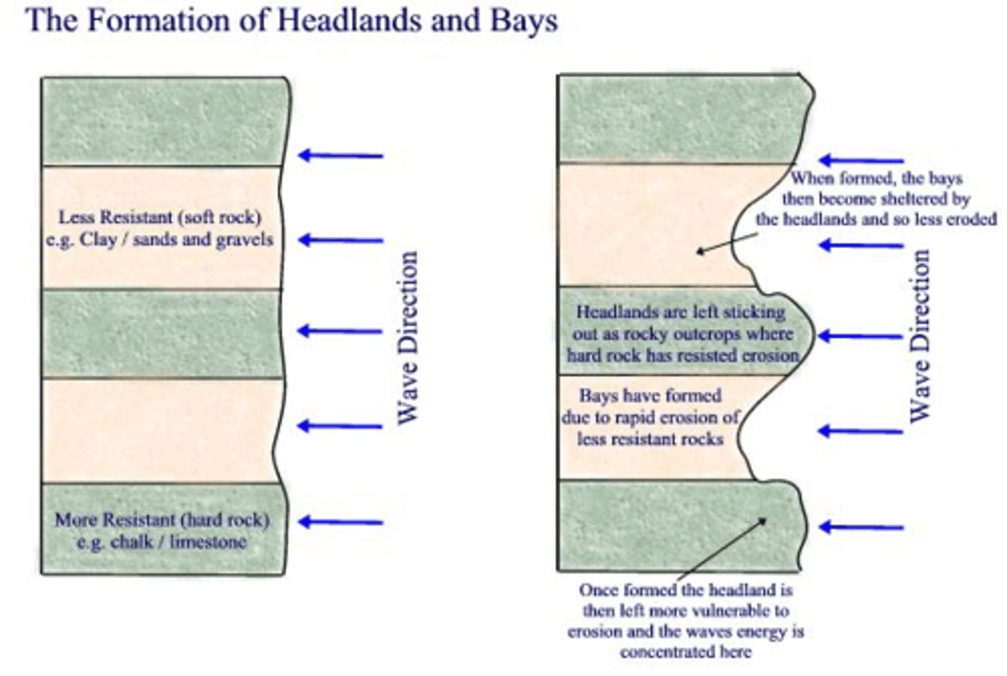 <p>- Discordant coastline (bands of rock lie perpendicular to the coastline)</p><p>- By hydraulic action &amp; abrasion, less resistant rock is eroded faster, causing the cliff to retreat, and forming a headland and bay</p><p>- During calm periods, more resistant rock absorbs wave energy and refracts the now low-energy waves into the bay => deposition of a beach</p>