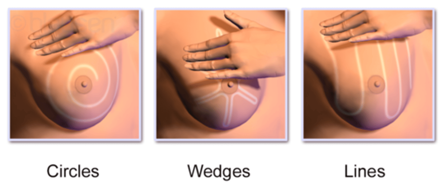 <p>Circles</p><p>Wedges</p><p>Lines</p>