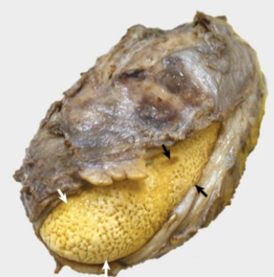 <p>what is the image showing?</p>