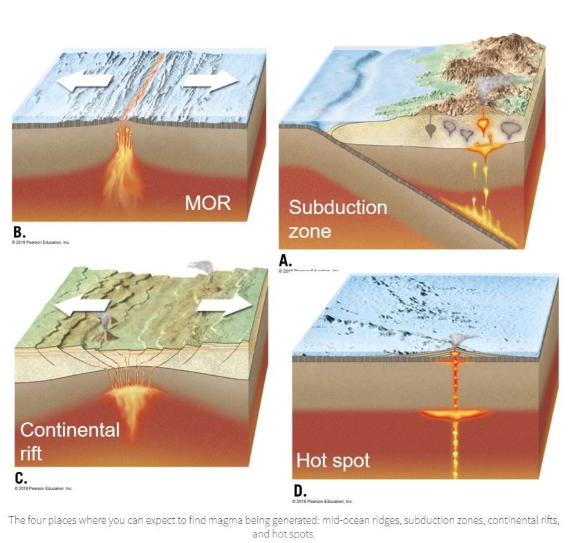 <ul><li><p>Mid-ocean ridge</p></li><li><p>Subduction zone</p></li><li><p>Continental rift</p></li><li><p>Hot spot</p></li></ul><p></p>