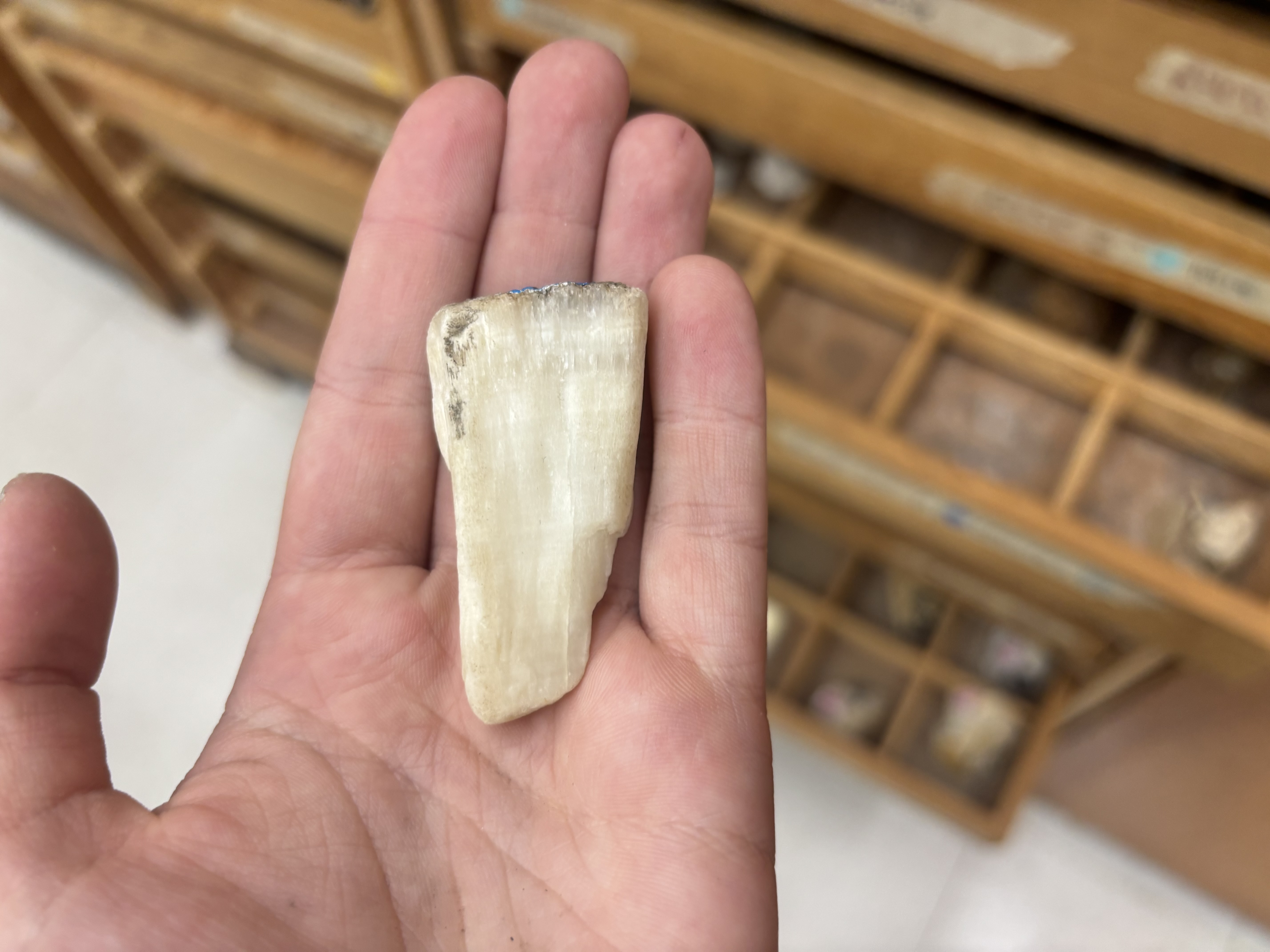 <p>Mineral, diagnosis</p>