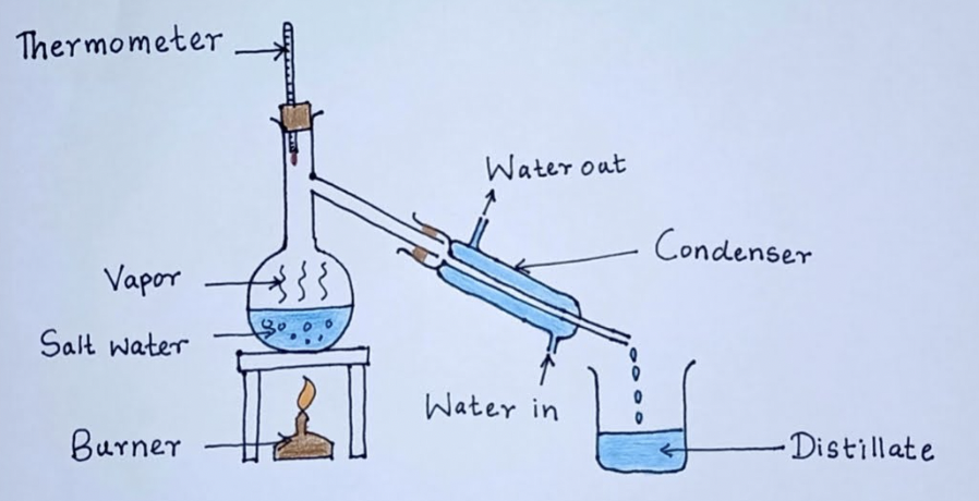 
1. Solid solutes in solution → Solutes left behind as solvents evaporate when solution is heated → Solvents can be purified later by condensation.
2. Mixture of solvents in solution → Liquid/solvent with lowest boiling point evaporates first + other liquids/solvents remain in flask → vapor travels to Liebig condenser → cools to form collected distillate (can be removed from collecting flask afterwards so it’s separated from other solvents that will later form the distillate as well).