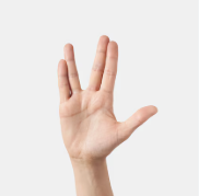 <p>hand/s</p>
